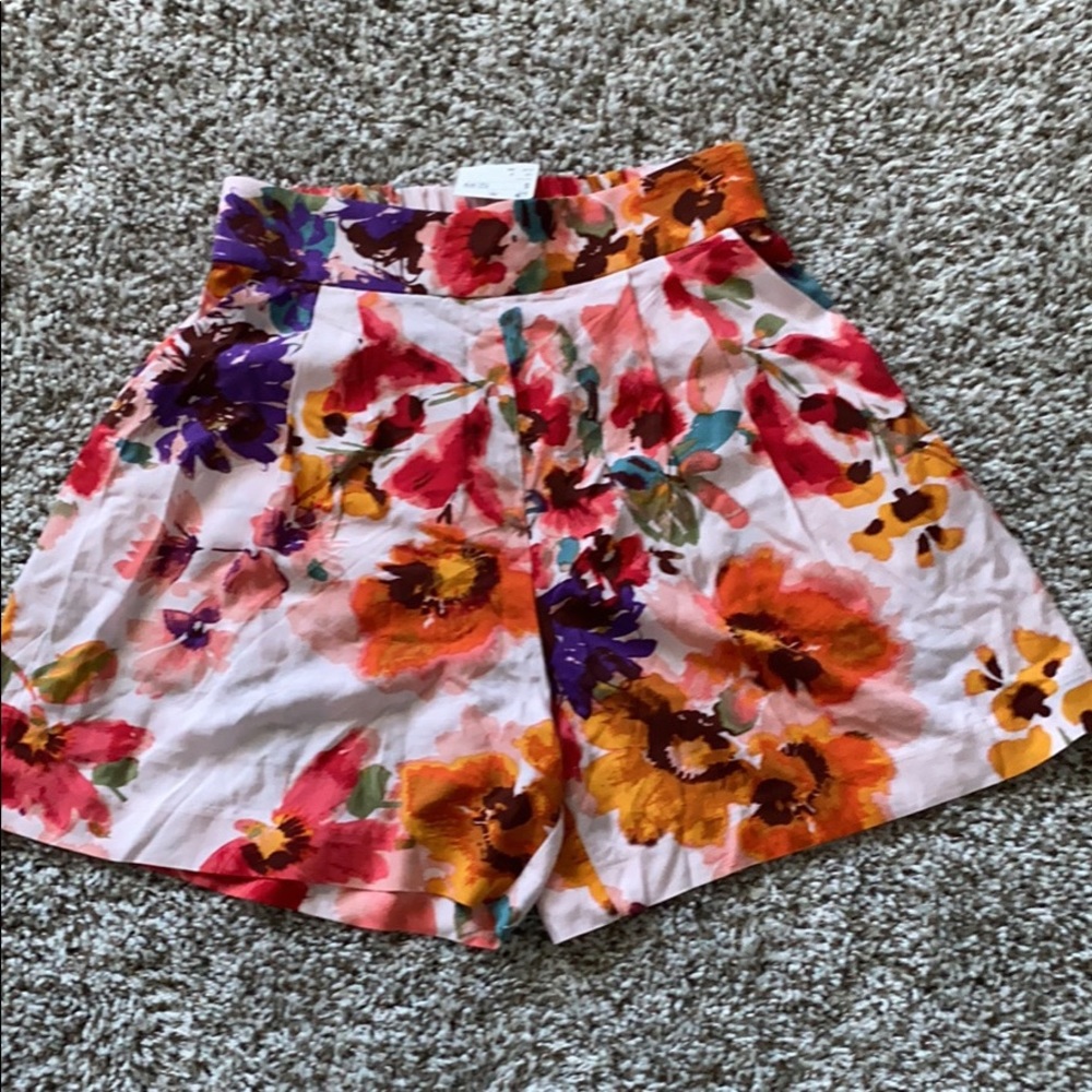 Women’s Dressy Shorts. NWT